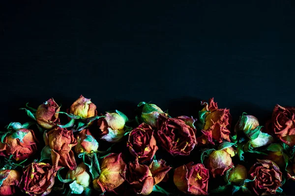 Schöner Natürlicher Hintergrund Mit Getrockneten Roten Rosen Auf Dunklem — Stockfoto