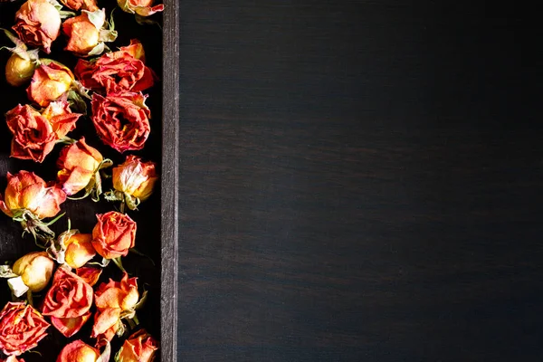 Beau Fond Naturel Avec Des Roses Rouges Séchées Sur Fond — Photo