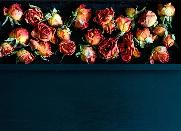 Όμορφο Φυσικό Υπόβαθρο Ξερά Κόκκινα Τριαντάφυλλα Στο Σκοτάδι — Φωτογραφία Αρχείου
