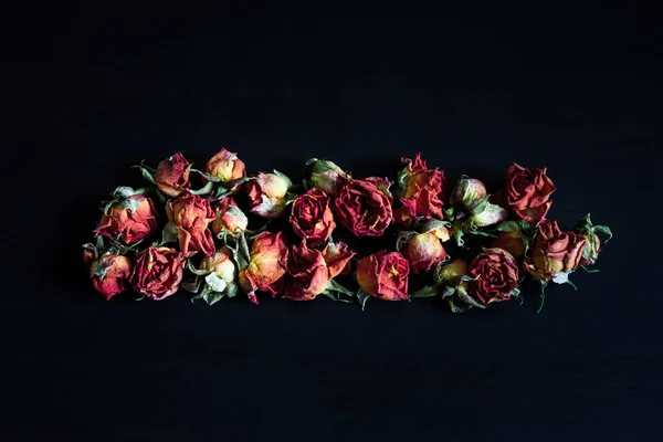 Beautiful Natural Background Dried Red Roses Dark — Stock Photo, Image