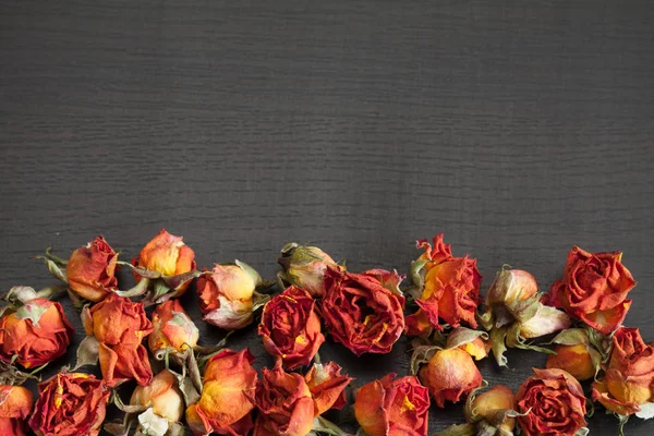 暗闇に乾燥した赤いバラで美しい自然な背景 — ストック写真