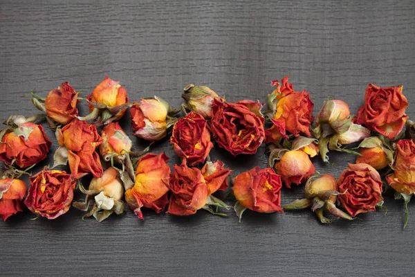 Hermoso Fondo Natural Con Rosas Rojas Secas Oscuridad —  Fotos de Stock