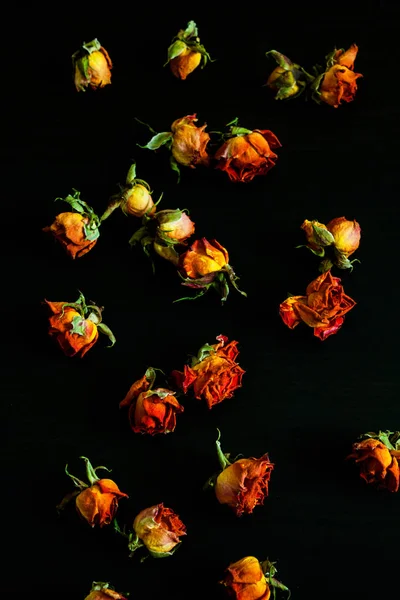 Красивий Природний Фон Висушеними Червоними Трояндами Темряві — стокове фото