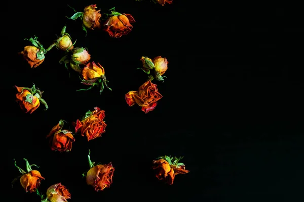 Schöner Natürlicher Hintergrund Mit Getrockneten Roten Rosen Auf Dunklem — Stockfoto