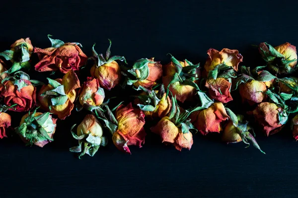 Φόντο Ξερά Κόκκινα Τριαντάφυλλα Στο Σκοτάδι — Φωτογραφία Αρχείου