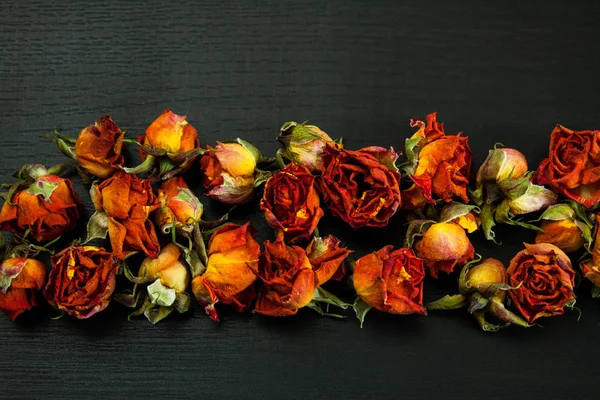 Fundo Natural Bonito Com Rosas Vermelhas Secas Escuro — Fotografia de Stock