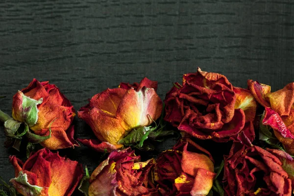 Beautiful Natural Background Dried Red Roses Dark — Stock Photo, Image