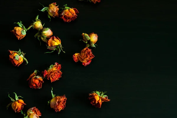 Fundo Natural Bonito Com Rosas Vermelhas Secas Escuro — Fotografia de Stock