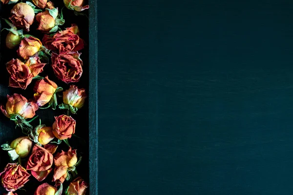 Fundo Natural Bonito Com Rosas Vermelhas Secas Escuro — Fotografia de Stock