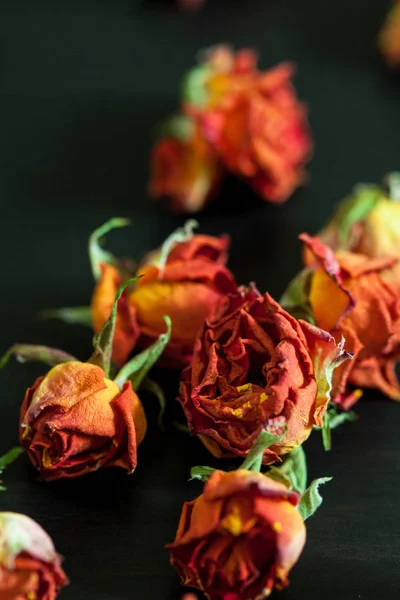 Hermoso Fondo Natural Con Rosas Rojas Secas Oscuridad — Foto de Stock