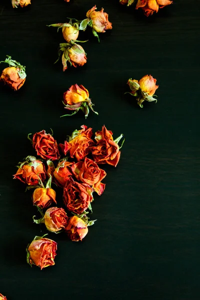 Beautiful Natural Background Dried Red Roses Dark — Stock Photo, Image