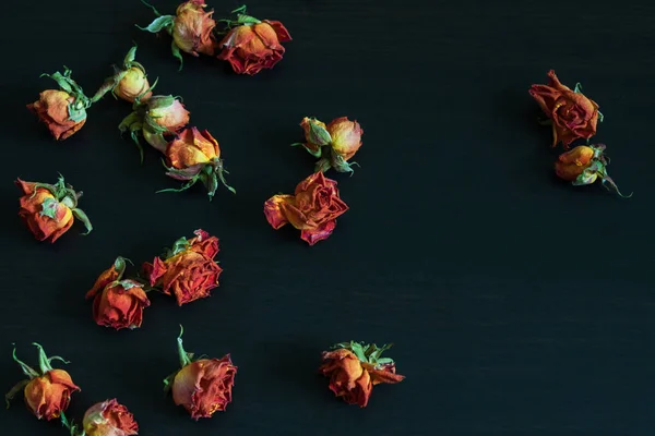 Όμορφο Φυσικό Υπόβαθρο Ξερά Κόκκινα Τριαντάφυλλα Στο Σκοτάδι — Φωτογραφία Αρχείου