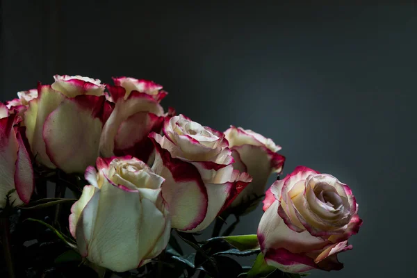 Boeket Van Mooie Witte Roze Rozen Donkere Achtergrond — Stockfoto