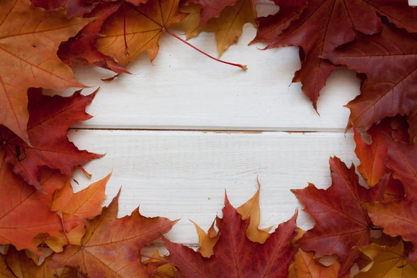 秋天枫树叶子在白色的木桌上 — 图库照片