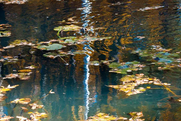 公園で秋の池でカラフルな反射 — ストック写真