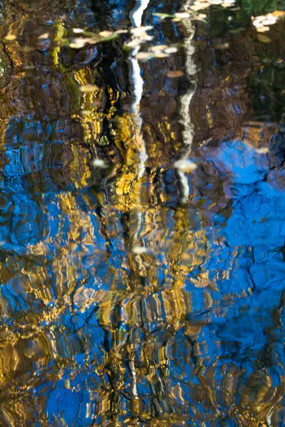 Reflet Coloré Dans Étang Automne Dans Parc — Photo