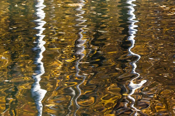 Reflet Coloré Dans Étang Automne Dans Parc — Photo