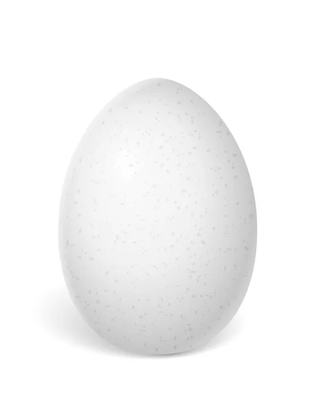 鸡蛋在白色背景上 矢量图 — 图库矢量图片