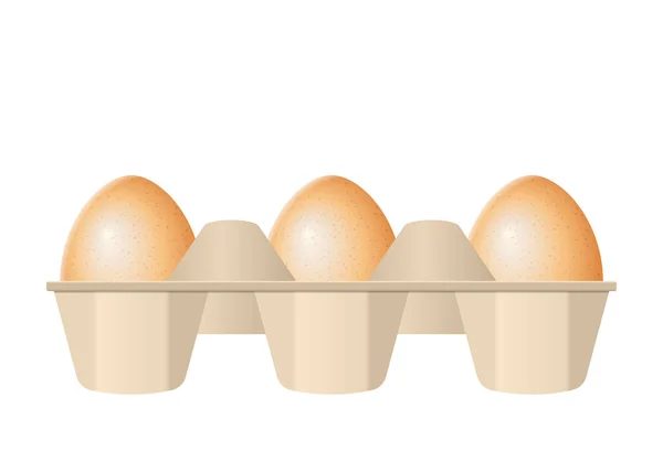 Eieren in kartonnen doos — Stockvector