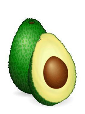 Beyaz arka planda avokado. Vektör illüstrasyonu.