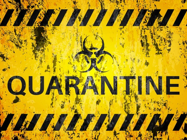 Grunge Quarantine Textured Background Vector Illustration — Stock Vector