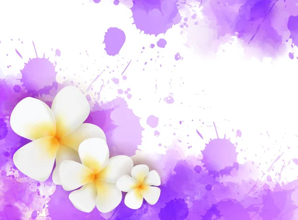 Banner Mit Abstrakten Aquarellspritzern Und Tropischen Frangipani Blumen Reisekonzept Hintergrund — Stockvektor