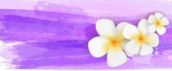 Banner Mit Abstrakten Aquarell Pinselstrichen Und Tropischen Frangipani Blumen Reisekonzept — Stockvektor