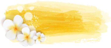 Arka plan soyut suluboya ile çizgiler ve tropikal plumeria çiçek fırça. Yaz seyahat konsept tasarımı. Parlak güneşli sarı renkli.