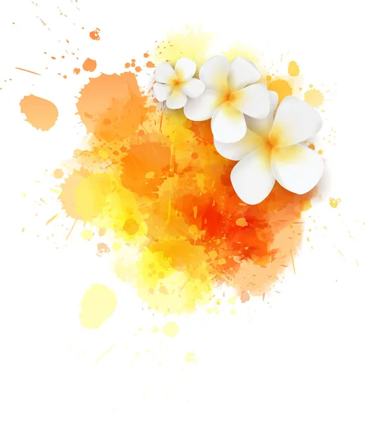 Abstracte Reizen Achtergrond Met Bloemen Van Plumeria Kleurrijke Aquarel Splash — Stockvector