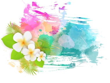 Tropikal grunge arka plan plumeria çiçek ve renkli suluboya sıçrama üzerinde palmiye yaprakları ile. 