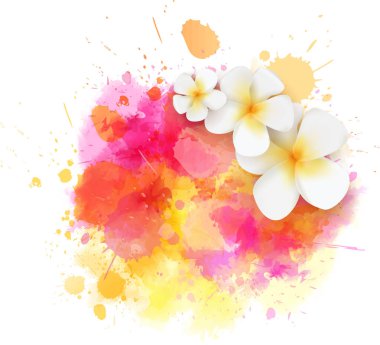 Soyut seyahat arka plan üzerinde renkli suluboya sıçrama plumeria çiçekli