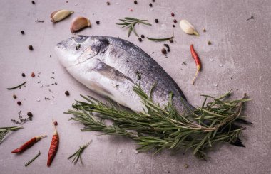 Taze dorado balık. Dorado ve pişirme malzemeleri - biberiye, baharat, sarımsak, kekik, otlar. Pişirme kavramı. Işık taş arka plan üzerinde.