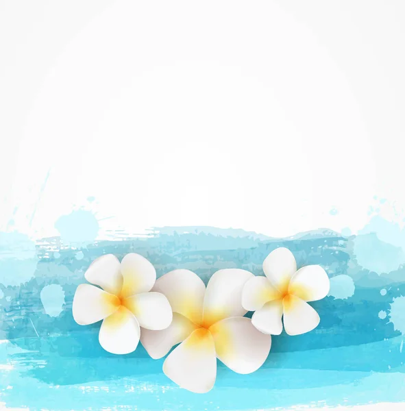 Modelo Fundo Com Linhas Imitação Aquarela Três Flores Frangipani — Vetor de Stock