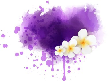 Plumeria çiçekler mor suluboya sıçrama ile yaz arka plan