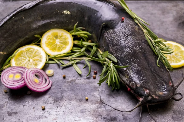 Cucinare il pesce gatto con spezie e rosmarino — Foto Stock