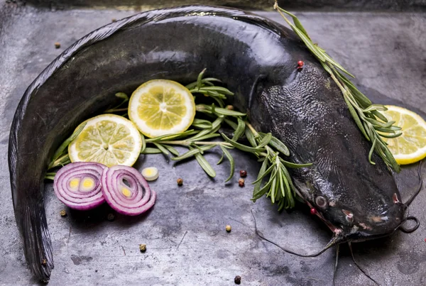 Cucinare il pesce gatto con spezie e rosmarino — Foto Stock