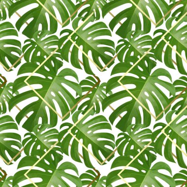 Arka plan ile tropikal palmiye yaprakları. Egzotik tropik bitkiler.