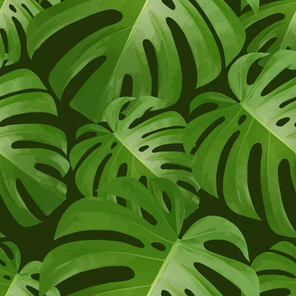 Fondo con hojas de palmeras tropicales. Plantas tropicales exóticas . — Vector de stock