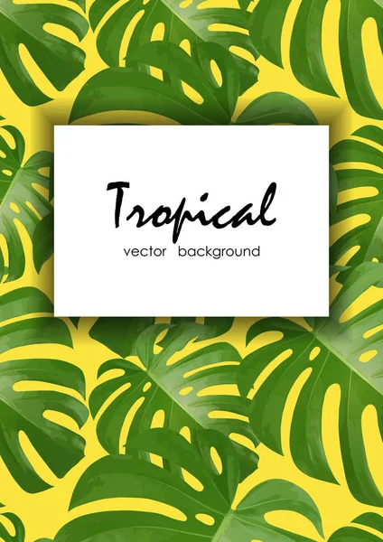 Háttérben trópusi Pálma levelek. Egzotikus trópusi növények. — Stock Vector