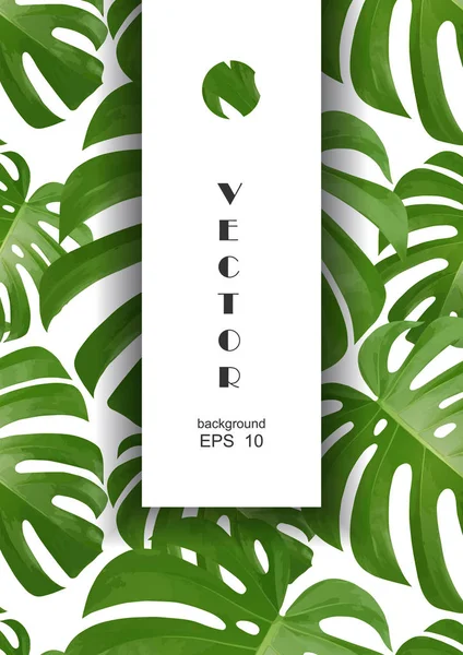 Background with tropical palm leaves. Exotic tropical plants. Stock Illustration
