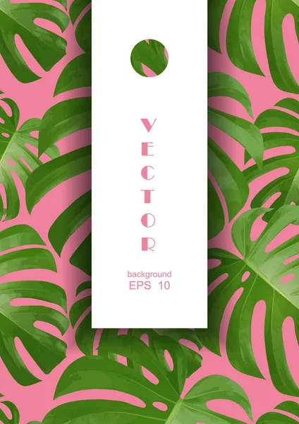 Hintergrund mit tropischen Palmenblättern. exotische tropische Pflanzen. — Stockvektor