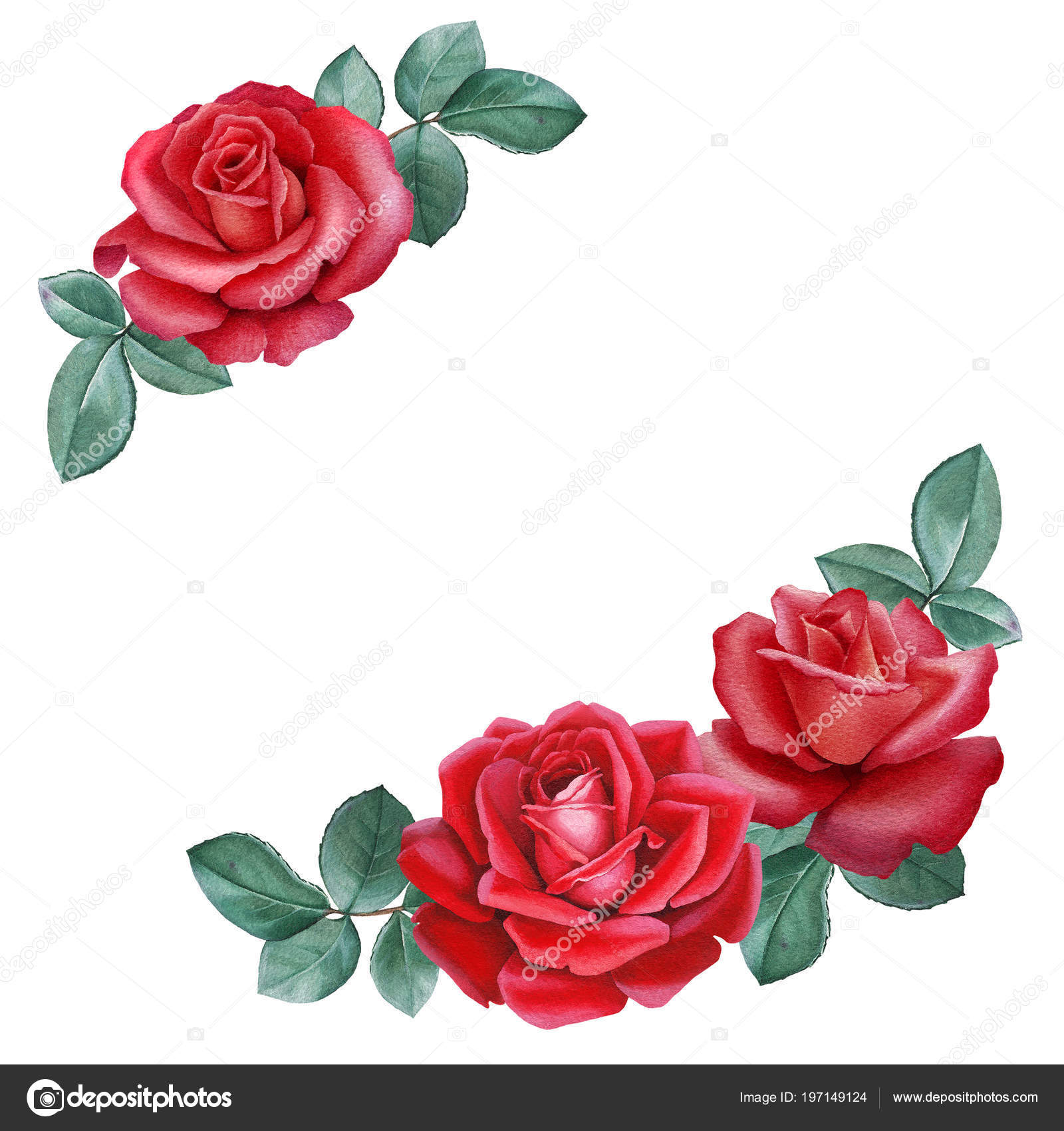 Illustration Aquarelle Une Fleur Rose Parfait Pour Les