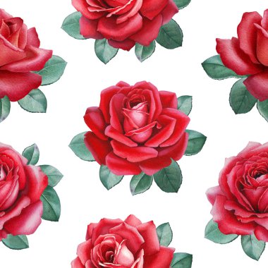 Gül suluboya çizimi. Seamless modeli