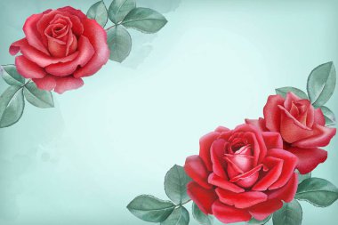 Gül çiçek suluboya çizimi. Mükemmel tebrik kartları ve davetiyeler