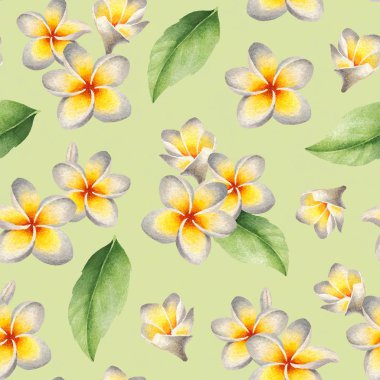 Sulu Boya Dikişsiz tropikal desen