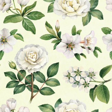 Suluboya beyaz çiçekler. Seamless modeli