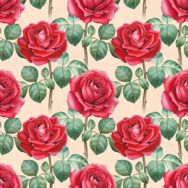 Watercolor Illustration Roses Seamless Pattern — Stock Photo, Image