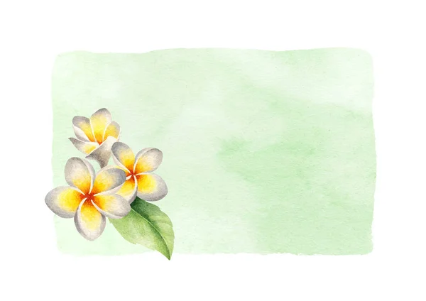 Akvarel Ilustrace Keře Květiny — Stock fotografie