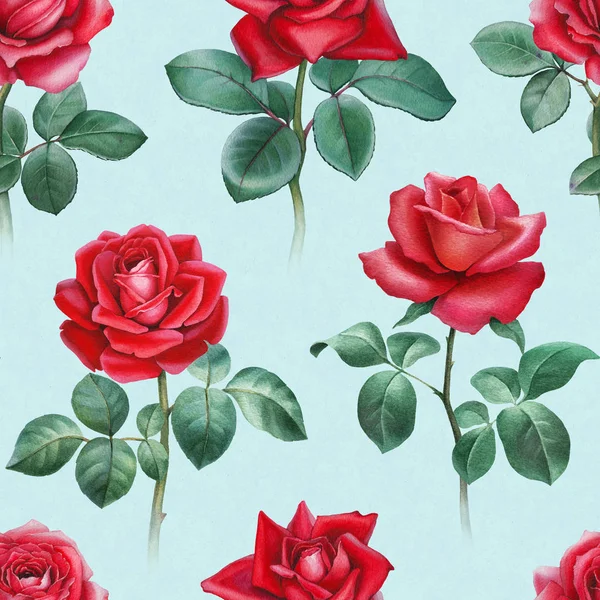 Watercolor Illustration Roses Seamless Pattern — Stock Photo, Image