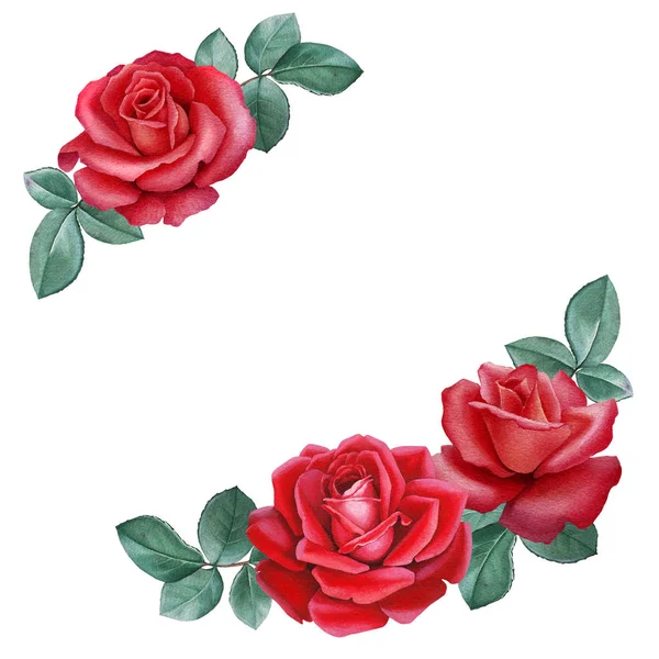Akwarela Ilustracja Kwiat Róży Idealny Kartki Zaproszenia — Zdjęcie stockowe